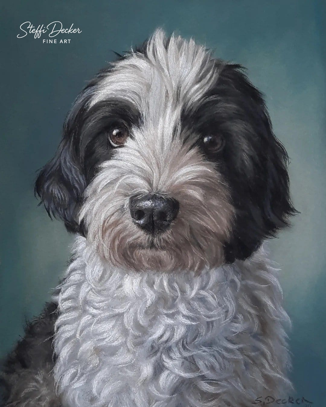 Ein Gemälde zeigt einen schwarz‑weißen, lockigen Hund mit rundem Kopf und dichter, weicher Fellstruktur vor einem sanft verlaufenden blau‑grünen Hintergrund.