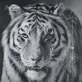 Original-Ölgemälde ‚Im Fokus‘ von Steffi Decker. Eindrucksvolles Schwarz-Weiß-Portrait eines Tigers auf Leinwand, das durch den intensiven, frontalen Blick besticht. Rechts im Bild ist ein filigraner, vertikaler Pfeil mit geometrischen Symbolen und der Blume des Lebens eingearbeitet. Handgemaltes Unikat, bei Interesse auf Anfrage erhältlich.