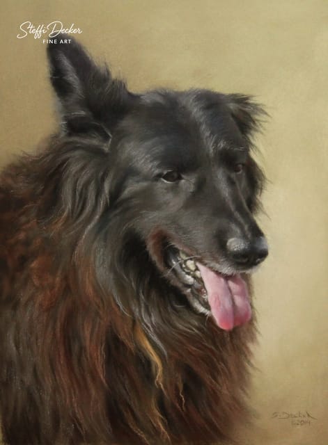 Ein langhaariger Hund mit dunklem Fell und rötlich‑braunen Akzenten sitzt vor einem warmen, neutralen Hintergrund und zeigt die Zunge leicht hervor.