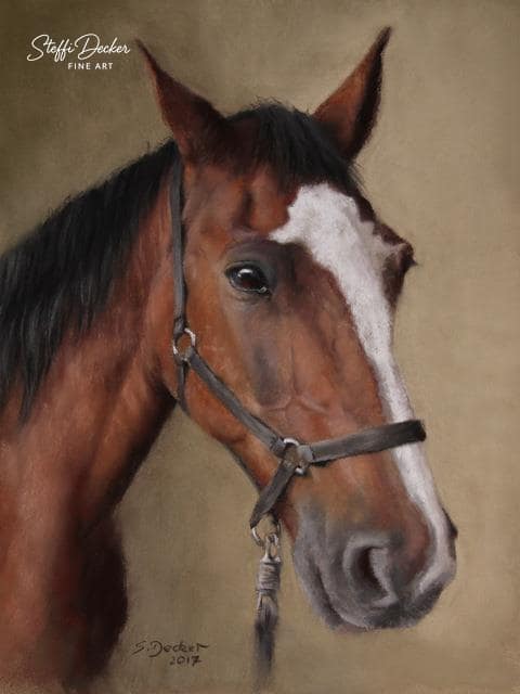 Ein braunes Pferd mit weißer Blesse und dunkler Mähne ist im Profil dargestellt und trägt ein schlichtes Halfter vor einem warmen, neutralen Hintergrund.