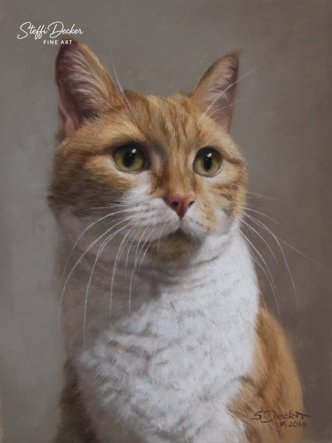 Eine Katze mit weißem Brustfell und orangefarbenem Rücken sitzt vor einem warmen, neutralen Hintergrund.