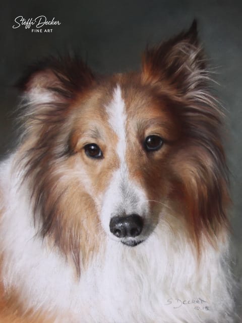 Ein langhaariger Hund mit weißem und rotbraunem Fell ist vor einem gedämpften, grünlich‑grauen Hintergrund dargestellt.