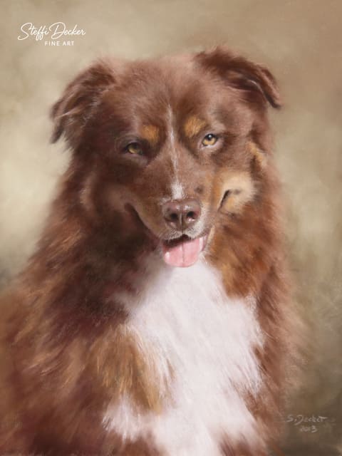 Ein langhaariger Hund mit rötlich‑braunem Fell und weißer Brust sitzt vor einem warmen, weich verschwommenen Hintergrund.