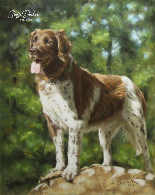 Ein braun‑weißer, langhaariger Hund mit geflecktem Fell steht auf einem Felsen vor einem Hintergrund aus dichtem, grünem Laubwerk und blickt mit leicht geöffnetem Maul zur Seite.