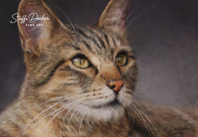 Ein kurzhaariges, getigertes Katzenporträt vor einem dunklen, weich verlaufenden Hintergrund, bei dem die Ohren und Teile des Kopfes detailliert dargestellt sind.