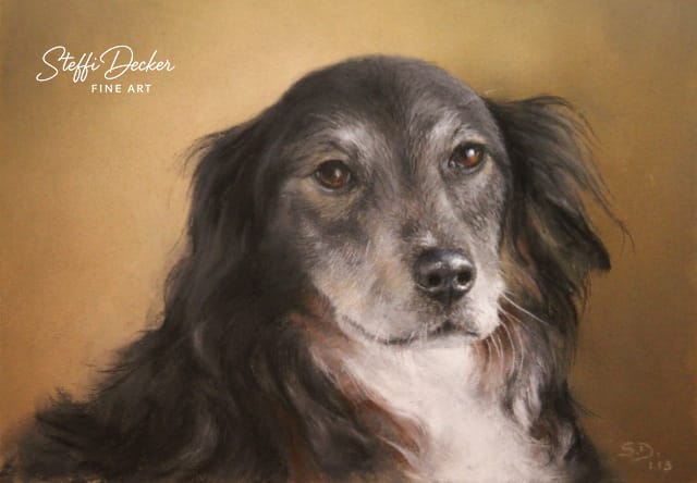 Ein Gemälde zeigt den oberen Körper eines langhaarigen Hundes mit schwarzem und weißem Fell vor einem warmen, goldbraunen Hintergrund.