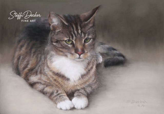 Eine getigerte Katze mit weißem Brustfell liegt entspannt auf einem hellen Untergrund und blickt ruhig nach vorn.