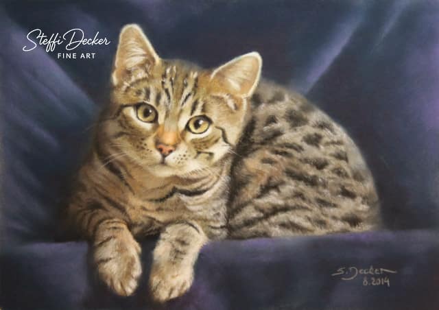 Eine getigerte Katze mit hellem und dunkelbraunem Fell liegt entspannt auf einem weichen, dunkelblauen Stoff und blickt aufmerksam nach vorn