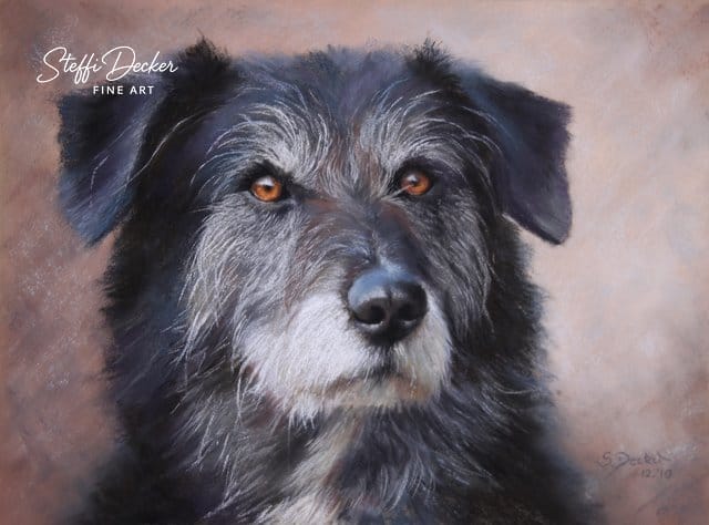 Ein dunkelgrauer, langhaariger Hund mit hellem Schnauzenfell sitzt vor einem weich strukturierten, warmen Hintergrund und blickt leicht zur Seite.