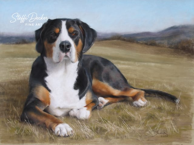 Ein dreifarbiger Hund mit schwarzem, weißem und braunem Fell liegt entspannt auf einer trockenen Wiese, mit sanften Hügeln und blauem Himmel im Hintergrund.