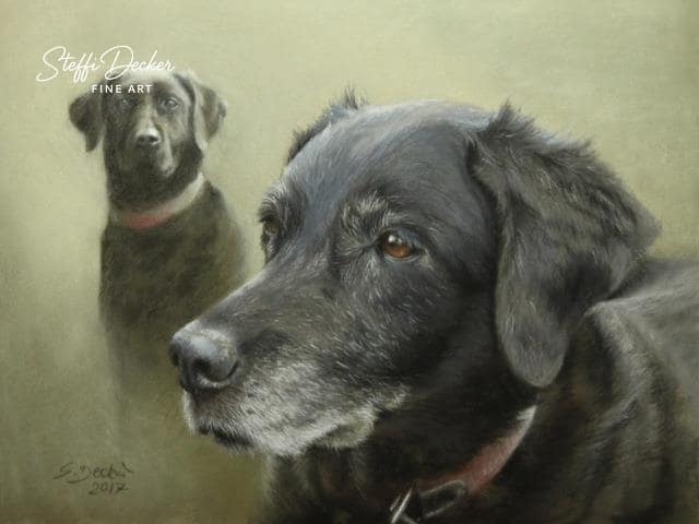 Ein schwarzer Hund mit grauen Abzeichen blickt aufmerksam zur Seite, während im Hintergrund ein weiteres Hundeporträt desselben Tieres vor einem weichen, hellgrünen Hintergrund zu sehen ist.