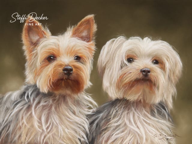 Zwei kleine, langhaarige Hunde mit seidigem, hell- und dunkelbraunem Fell sitzen nebeneinander vor einem warmen, weichen Hintergrund.