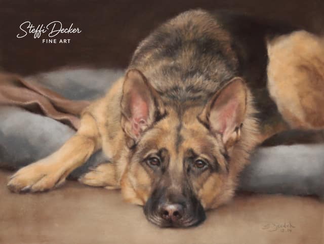 Ein Hund mit dunkelbraunem und cremefarbenem Fell liegt entspannt auf einem weichen Kissen, während eine Decke locker daneben fällt.