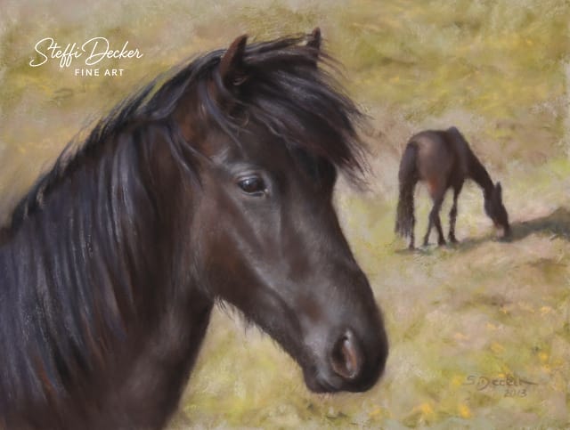 Ein dunkelbraunes Pferd steht im Vordergrund einer sommerlichen Wiese, während im Hintergrund ein weiteres Pferd grasend zu sehen ist.