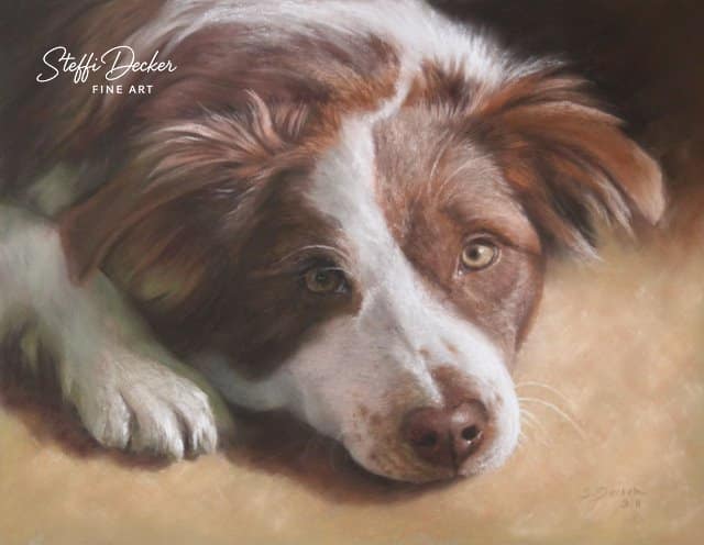 Ein langhaariger Hund mit weißem und braunem Fell liegt auf einem warmen, hellen Untergrund, der Kopf seitlich abgestützt und eine Pfote nach vorn ausgestreckt.