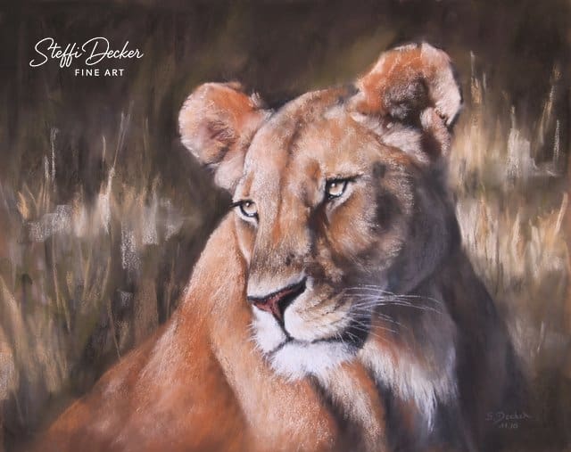 Eine Löwin mit hellem, sandfarbenem Fell liegt im warmen Licht vor einem Hintergrund aus trockenem Gras und blickt ruhig zur Seite.