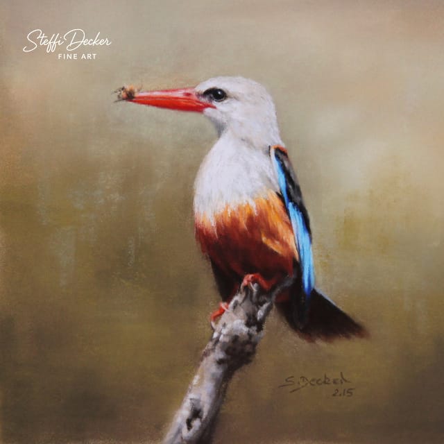 Graukopfliest Ein farbenprächtiger Eisvogel sitzt auf einem Ast, mit leuchtend rotem Schnabel, blau‑schwarzen Flügeln und orangefarbenem Bauch, vor einem weich verschwommenen, warmen Hintergrund.